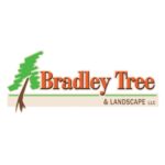 Bradley Tree logo: client